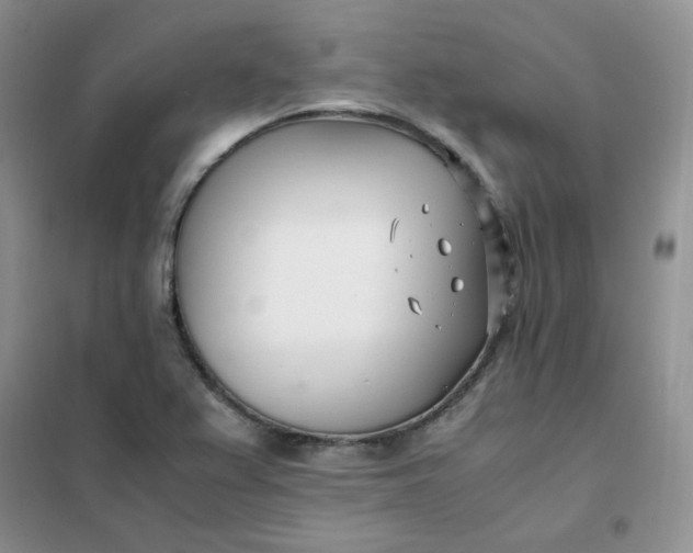 X0000102031367200808011438