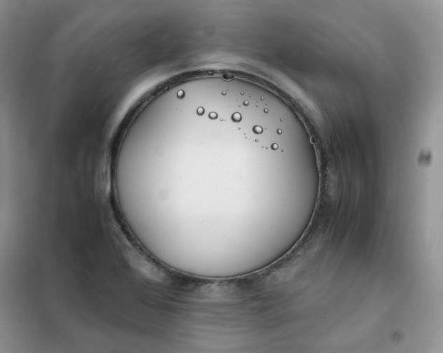 X0000102031368200808011438