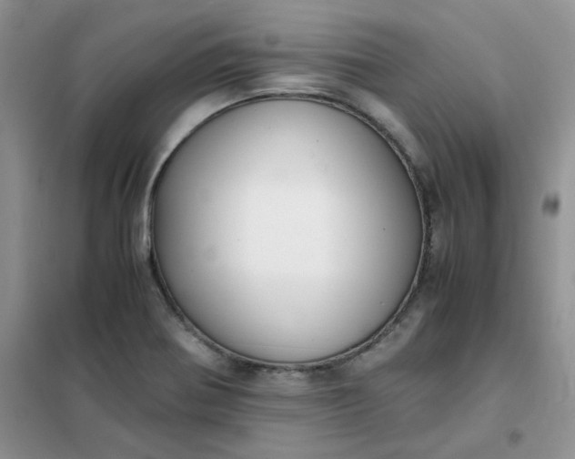 X0000102031370200808011438