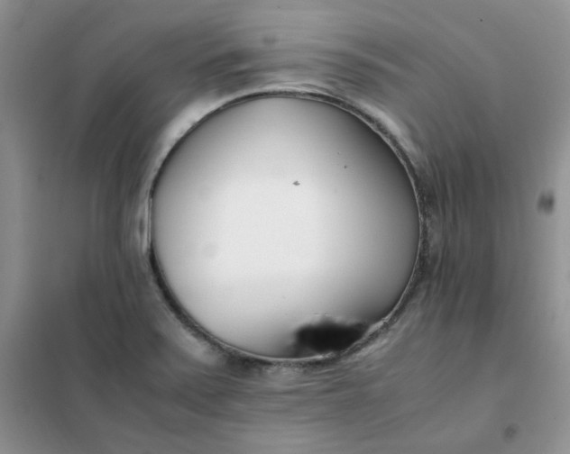 X0000102031371200808011438