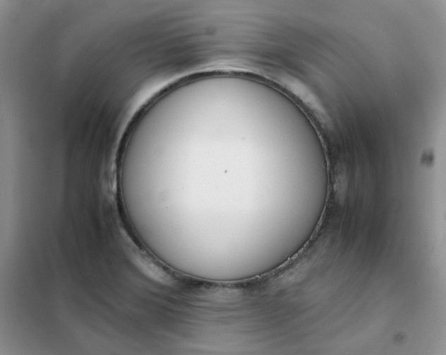 X0000102031372200808011438