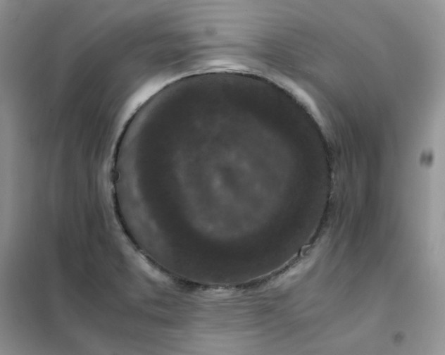 X0000102031373200808011438