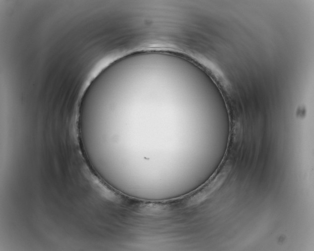 X0000102031374200808011438