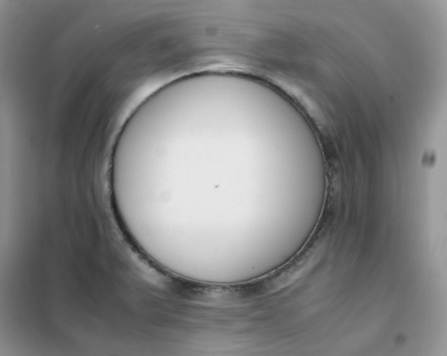 X0000102031375200808011438