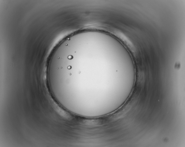 X0000102031376200808011438