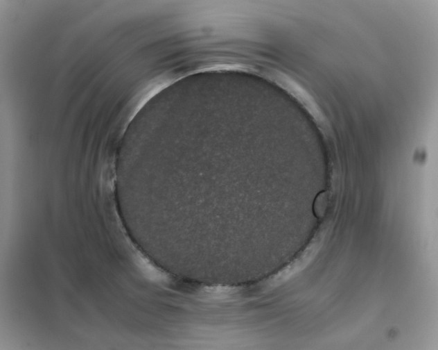 X0000102031377200808011438