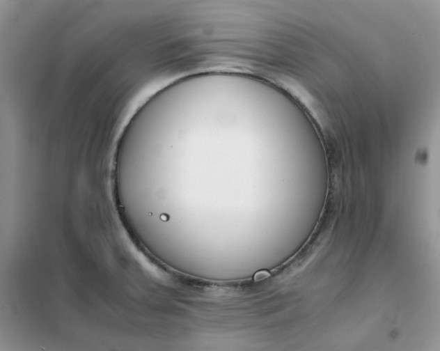 X0000102031379200808011438