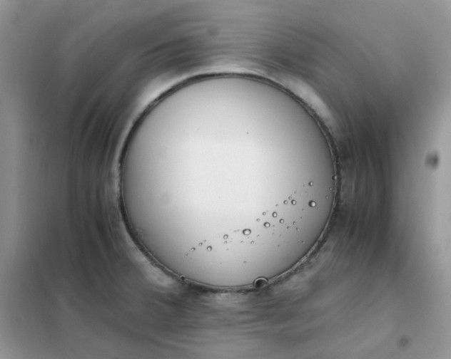 X0000102031380200808011438