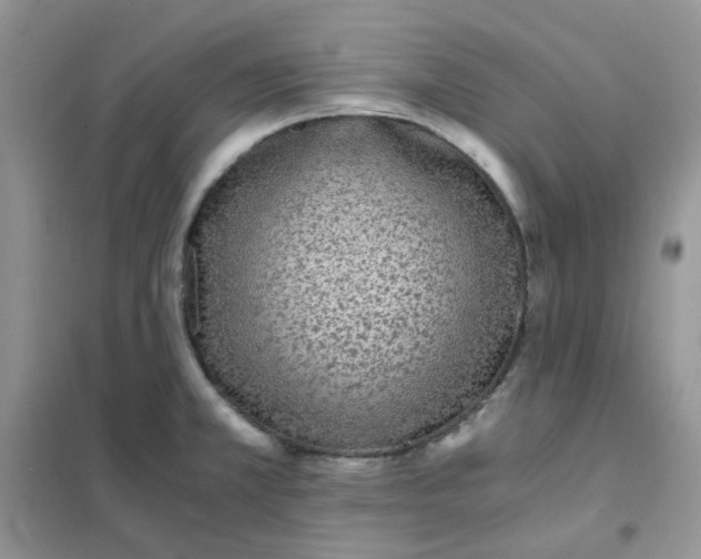 X0000102031381200808011438