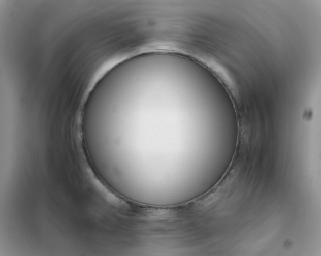 X0000102031382200808011438