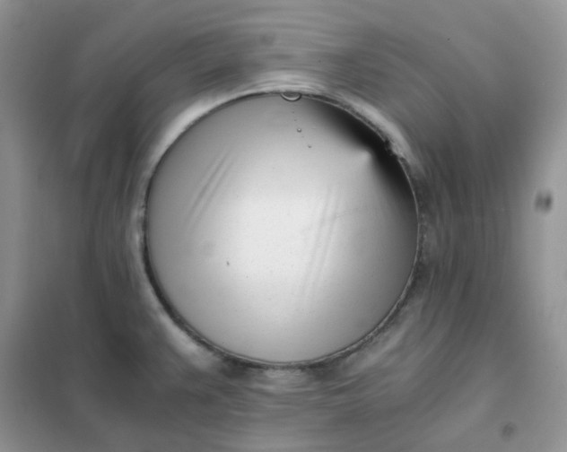 X0000102031383200808011438