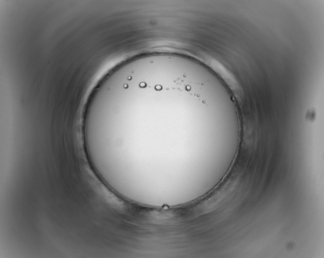 X0000102031384200808011438