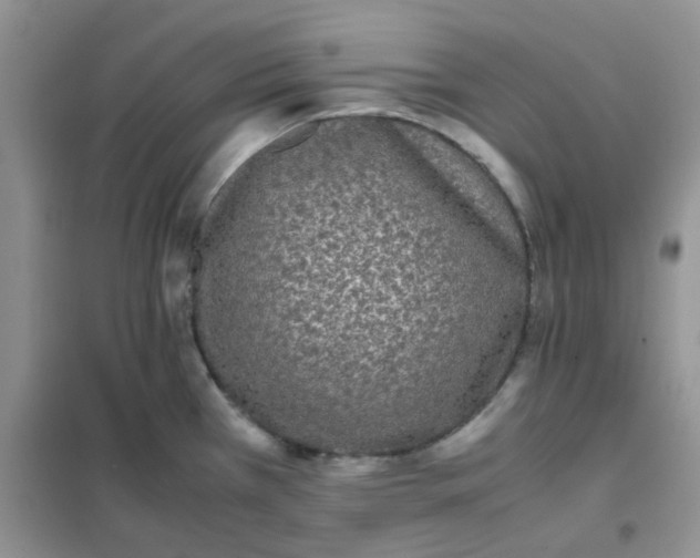 X0000102031385200808011437