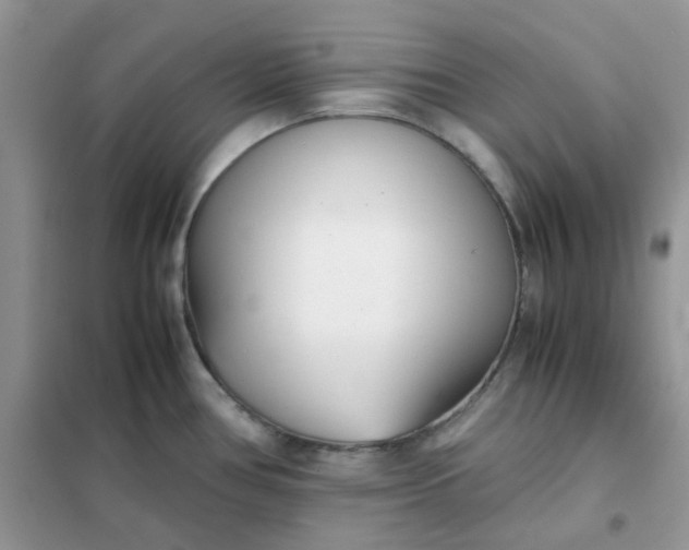 X0000102031386200808011437