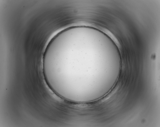 X0000102031388200808011437