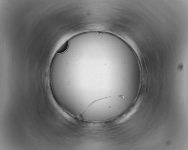 X0000102031389200808011437