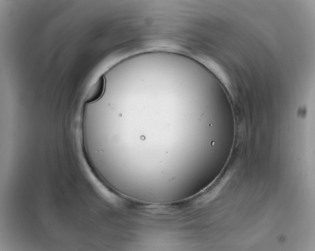 X0000102031391200808011437