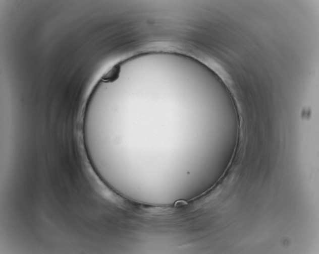 X0000102031392200808011437