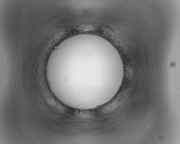 X0000102031393200808011437