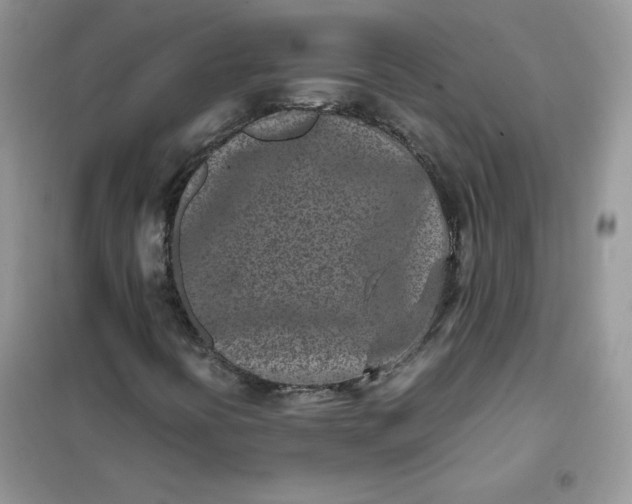 X0000102031394200808011437