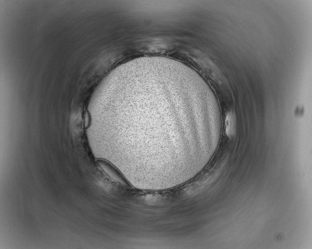 X0000102031395200808011437