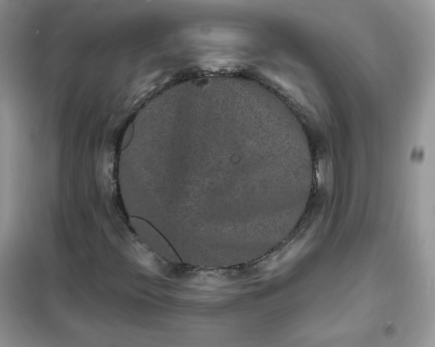 X0000102031396200808011437