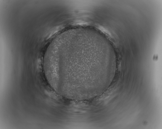 X0000102031397200808011437