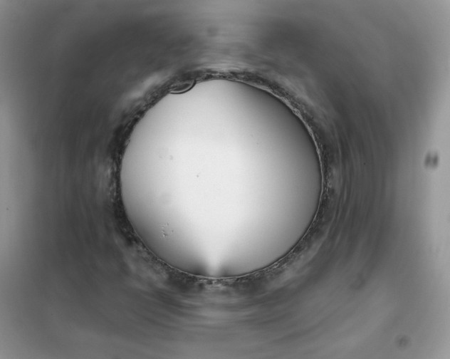 X0000102031398200808011437