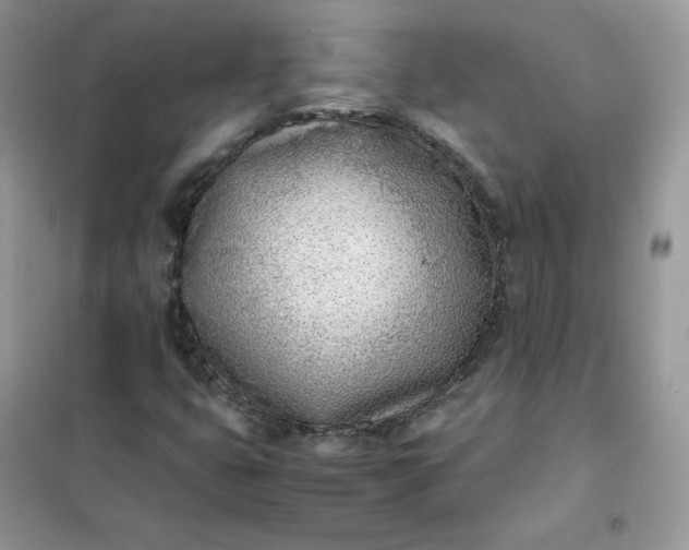 X0000102031399200808011437