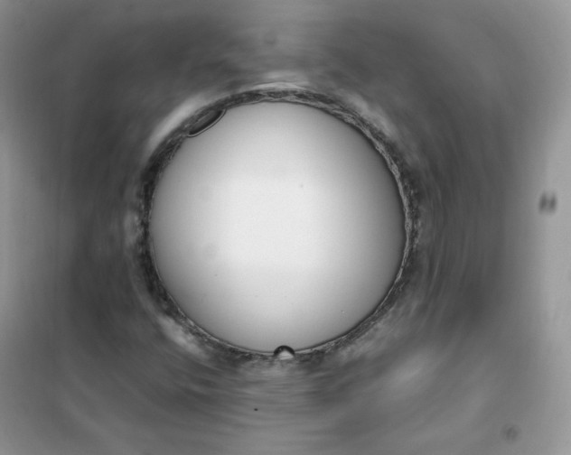 X0000102031400200808011437