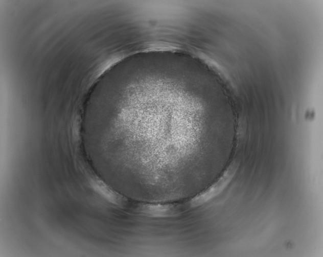 X0000102031401200808011437