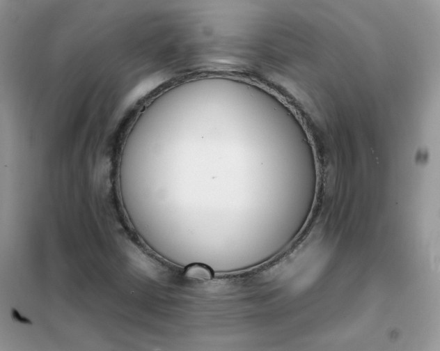 X0000102031402200808011437