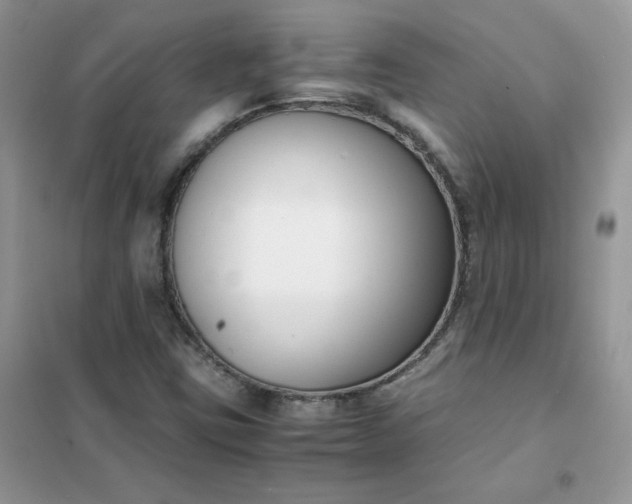 X0000102031403200808011437