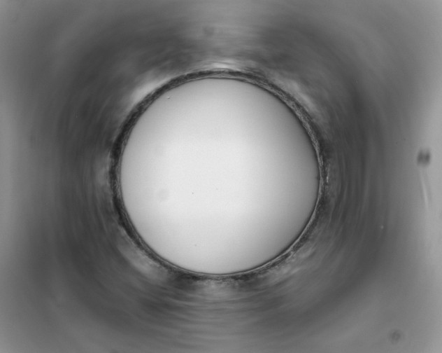 X0000102031404200808011437