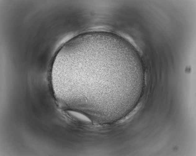 X0000102031405200808011437