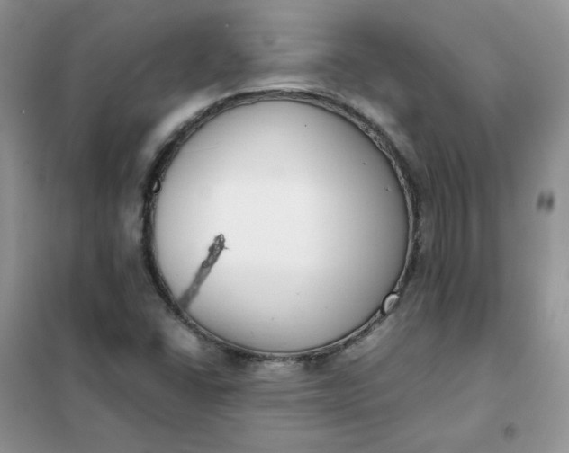 X0000102031406200808011437