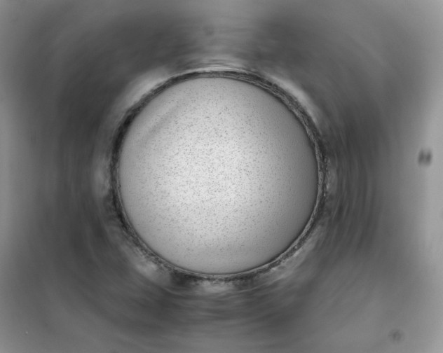 X0000102031407200808011437