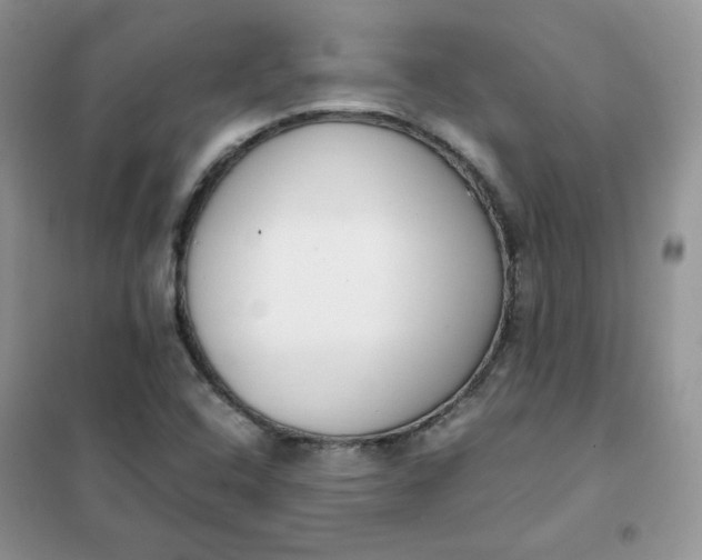 X0000102031408200808011437