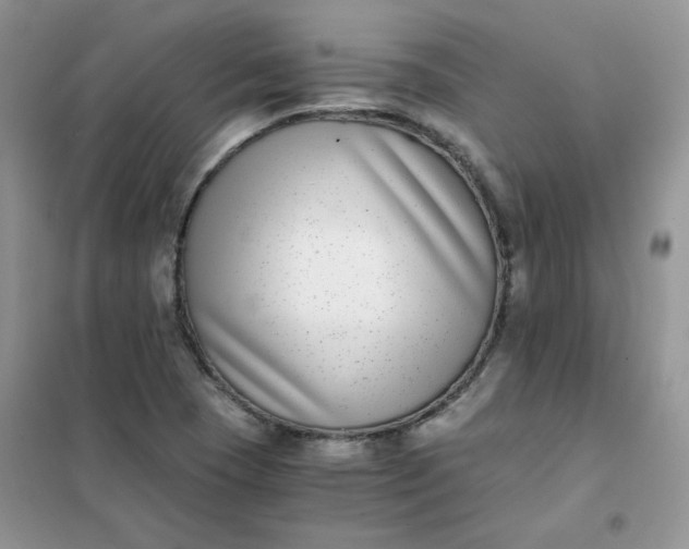 X0000102031409200808011437