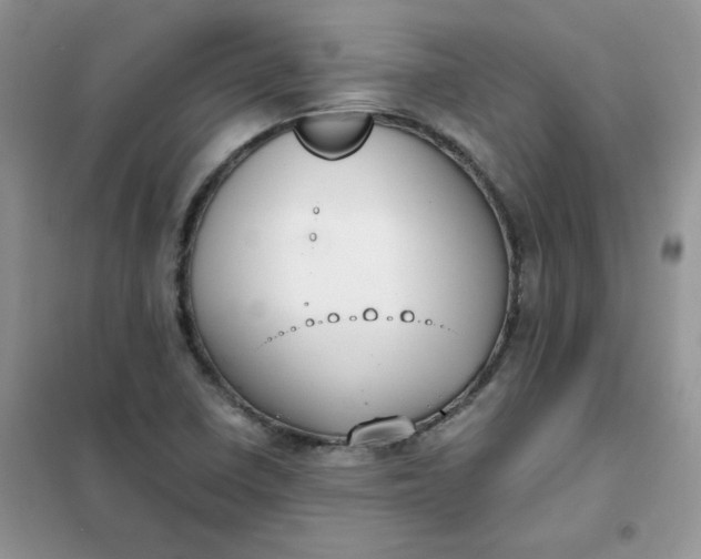 X0000102031410200808011437