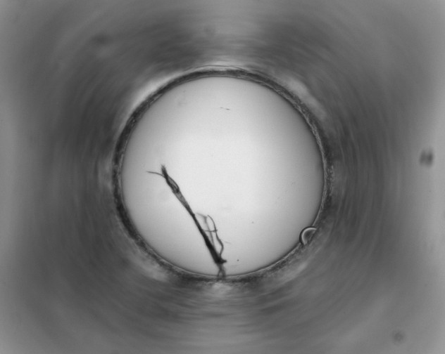 X0000102031412200808011437