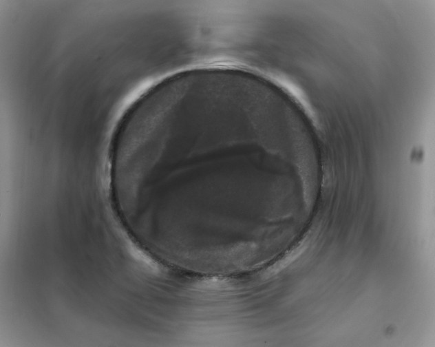 X0000102031414200808011437