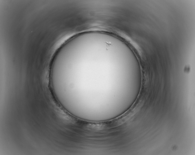 X0000102031415200808011437