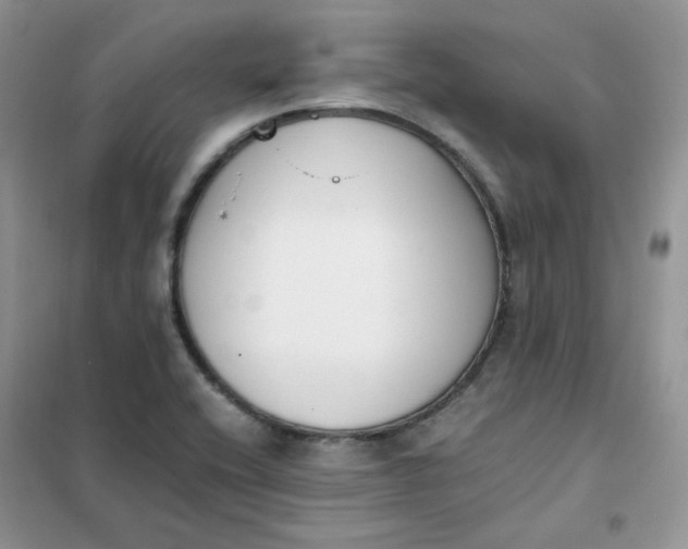 X0000102031416200808011437