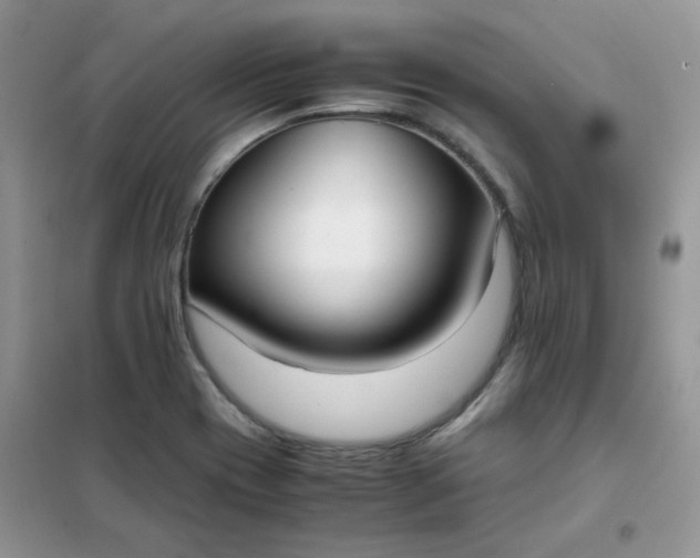 X0000102031417200808011437