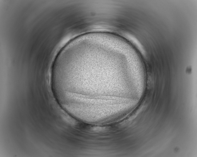 X0000102031419200808011437