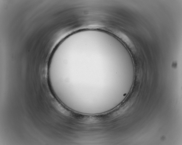 X0000102031420200808011437