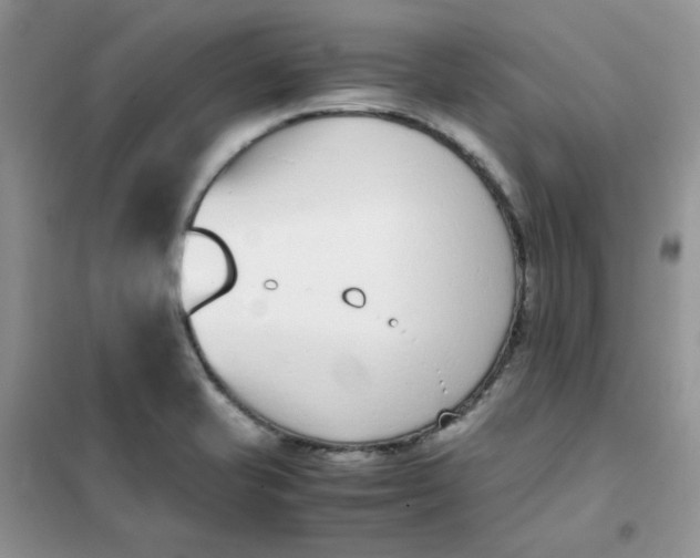 X0000102031421200808011437