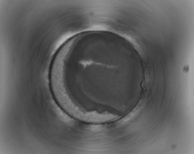 X0000102031422200808011437