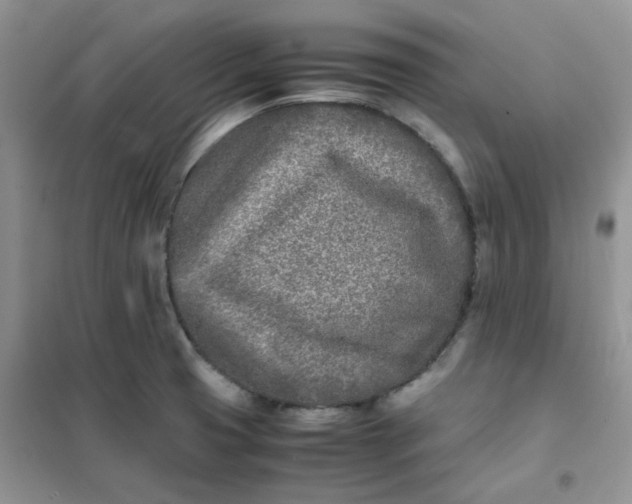 X0000102031425200808011437